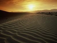 pic for  Sandy Ripples at Sunset Death Valley California